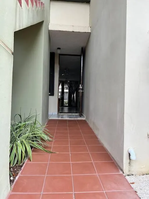 Entire Beach Apartment With View To El Yunque National Rain Forest Rio Grande Puerto Rico